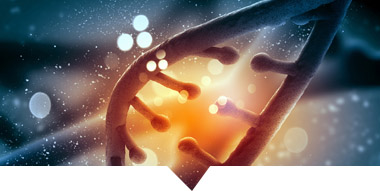 企業(yè)風(fēng)采