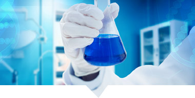 企業(yè)風(fēng)采